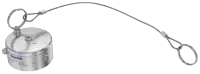 C300P4401