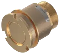 T585A2201
